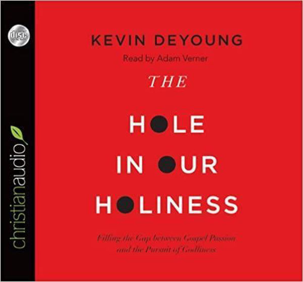 Picture of The Hole in our Holiness