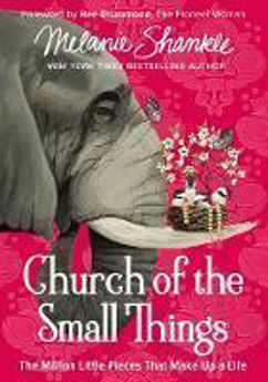 Picture of Church of the Small Things: The Million Little Pieces That Make Up A Life