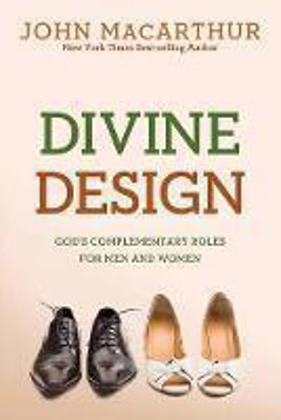 Picture of Divine Design
