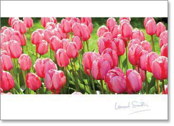 Picture of Pink Tulips Blank Inspire Card