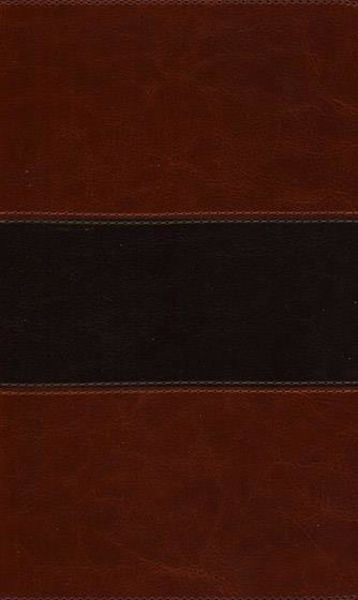 Picture of The KJV Study Bible two-tone brown