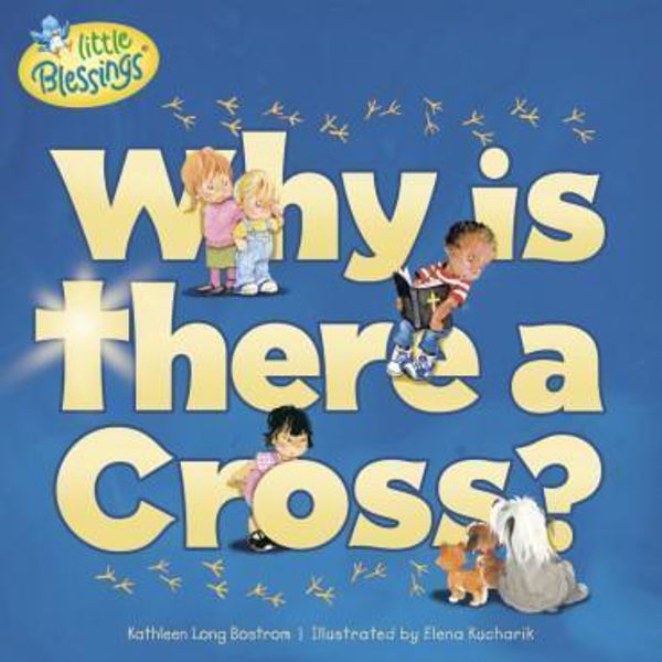 Picture of Why is there a Cross?