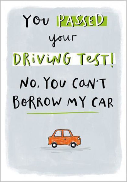 Picture of You passed your driving test!