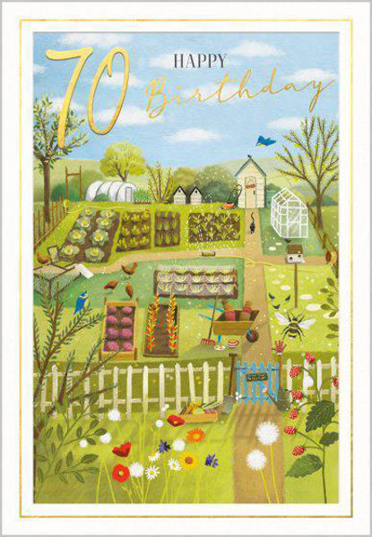 Picture of 70 Happy Birthday Vegetable Garden