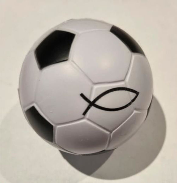 Picture of Football & Fish Squeeze Ball