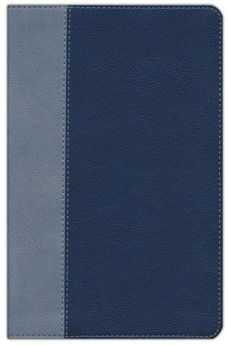 Picture of ESV Student Study Bible Navy/Slate
