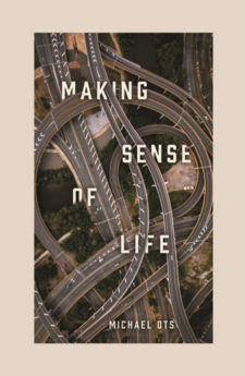 Picture of Making Sense Of Life