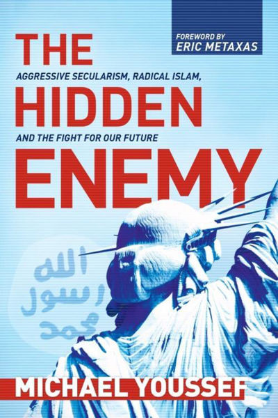 Picture of The Hidden Enemy