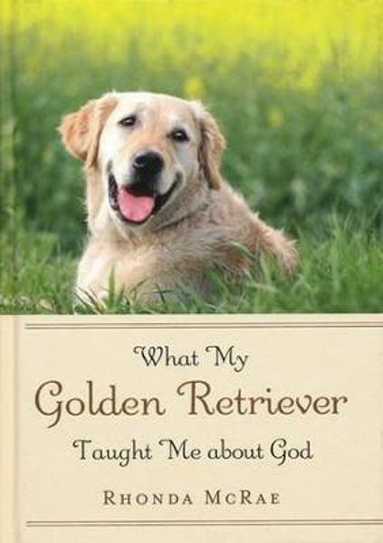 Picture of What My Golden Retriever Taught Me About God