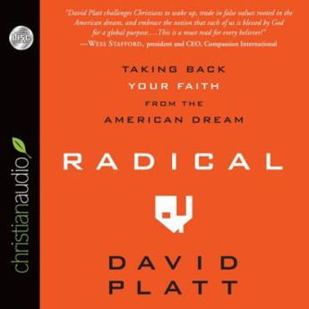 Picture of Radical - taking back your faith