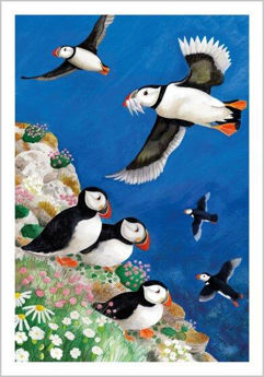 Picture of Puffins (Blank Card)