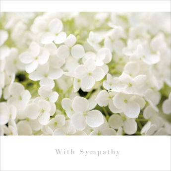 Picture of With Sympathy