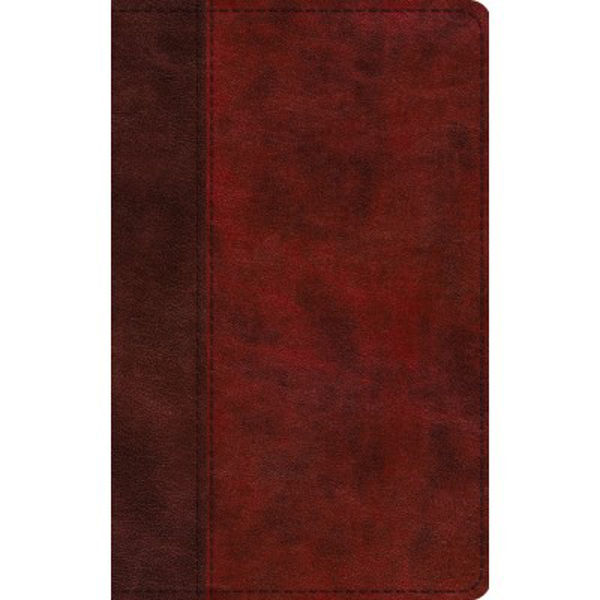 Picture of ESV Large Print Thinline Bible