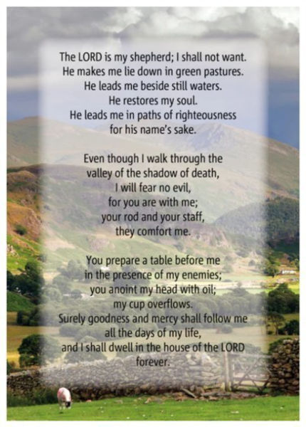 Picture of Psalm 23 Card
