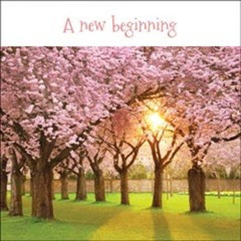 Picture of A New Beginning  Trees/Pink Blossom