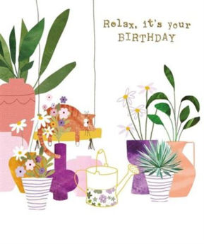 Picture of Relax Its Your Birthhday Pot Plants