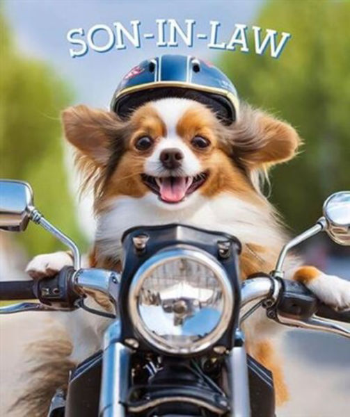Picture of Son in Law Dog on Bike